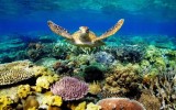 Discover Bay Canh Island