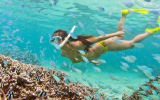 Discover Cau Island