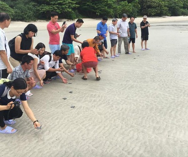 Bay Canh Island Of Con Dao2