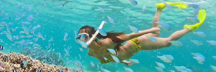 Tour Con Dao